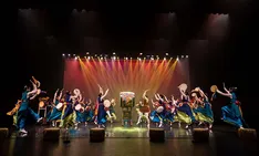 무용예술학부 학과활동