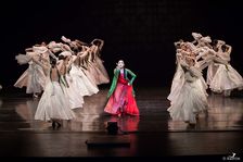 무용예술학부 학과활동