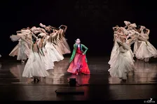 무용예술학부 학과활동